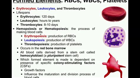 Platelets: Always Bugging the Blood Bank